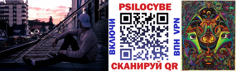 Галлюциногенные грибы Psilocybe  Бутурлиновка 